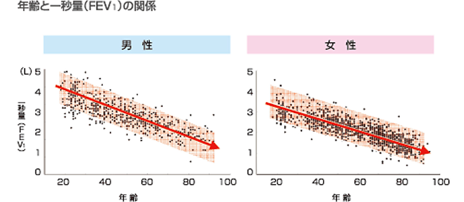 肺年齢って何？